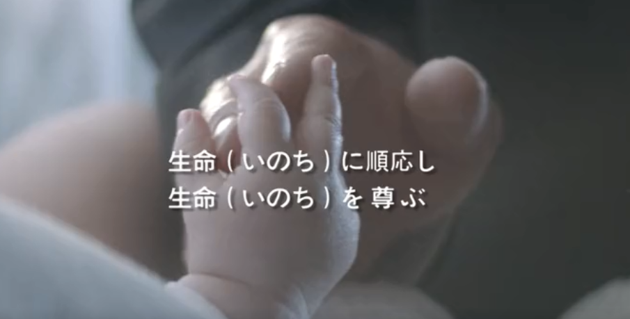 尊龙凯时人生就是博集團形象片（日本語）
