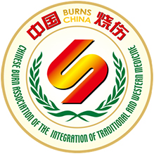 燒傷專業委員會